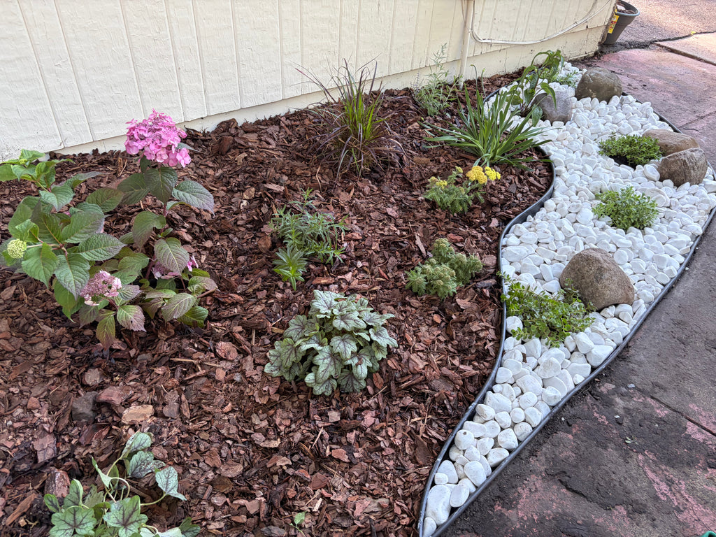 Landscaping Services - Consultation