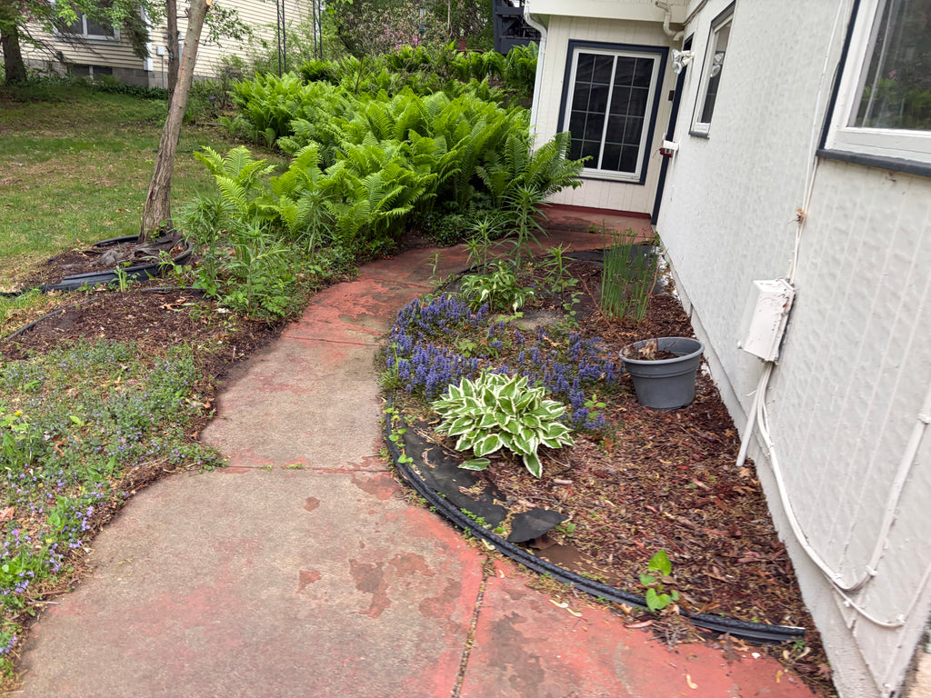 Landscaping Services - Consultation