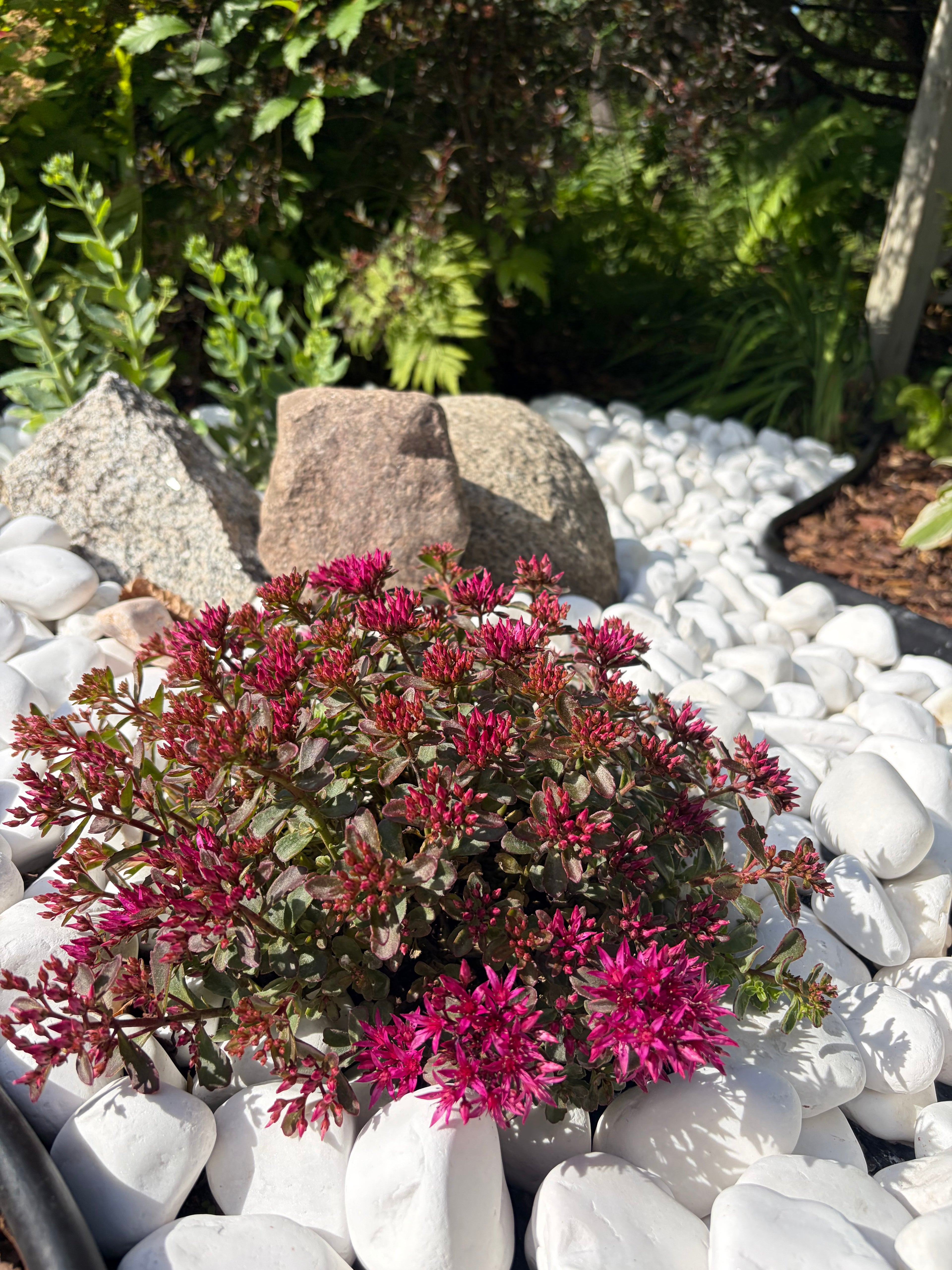 Landscaping Services - Consultation