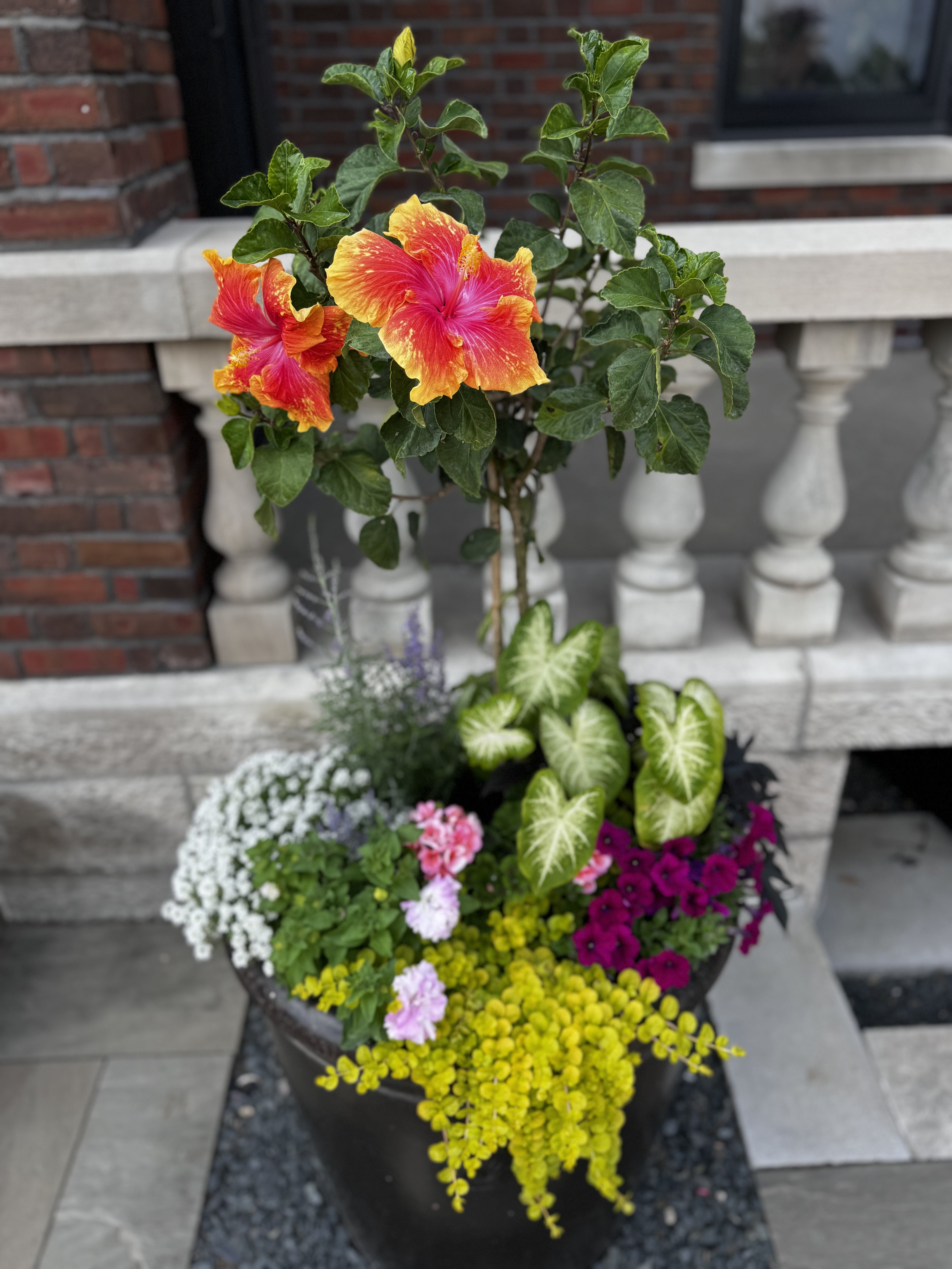 Annual Container Service - Consultation