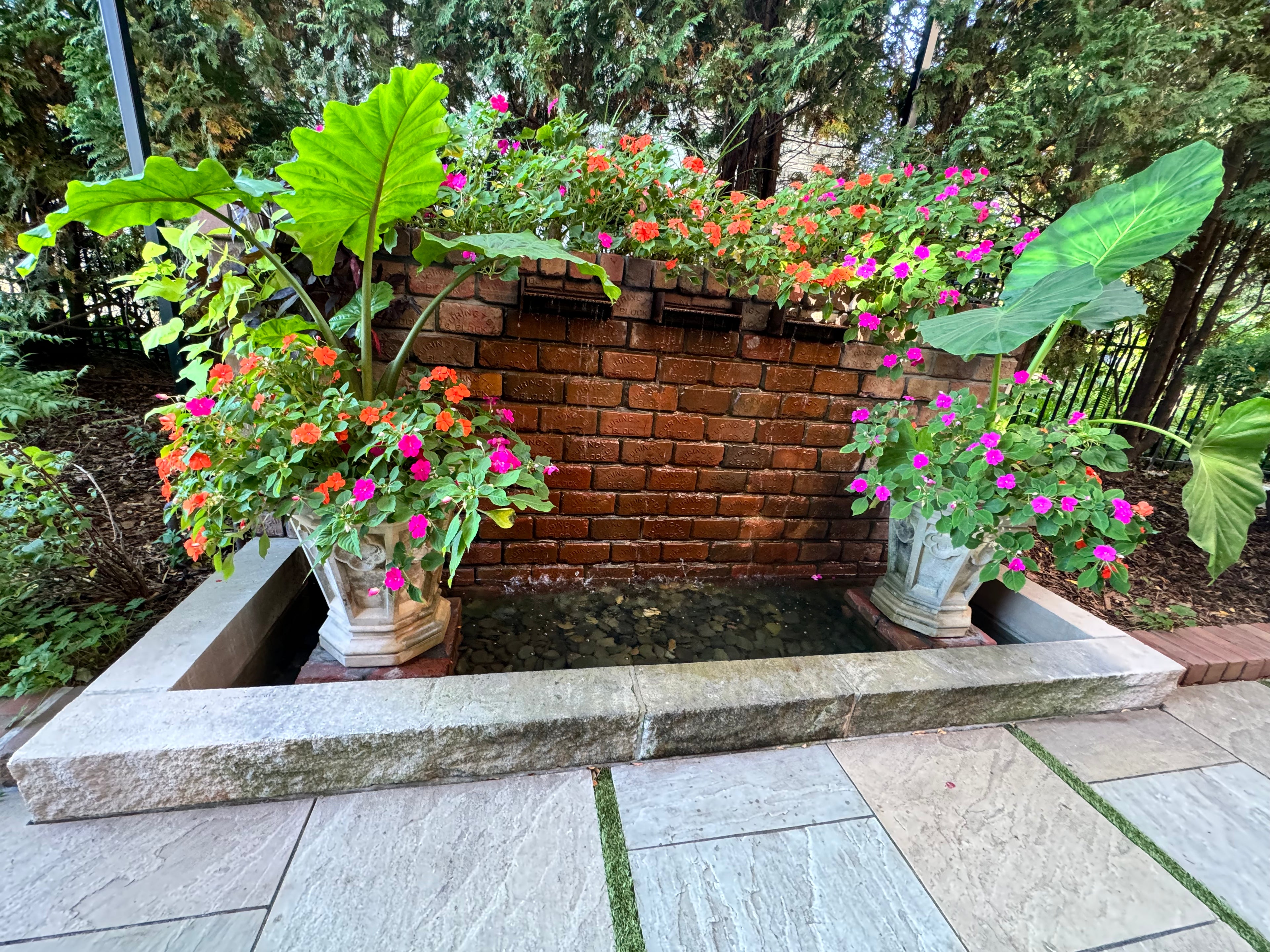 Annual Container Service - Consultation