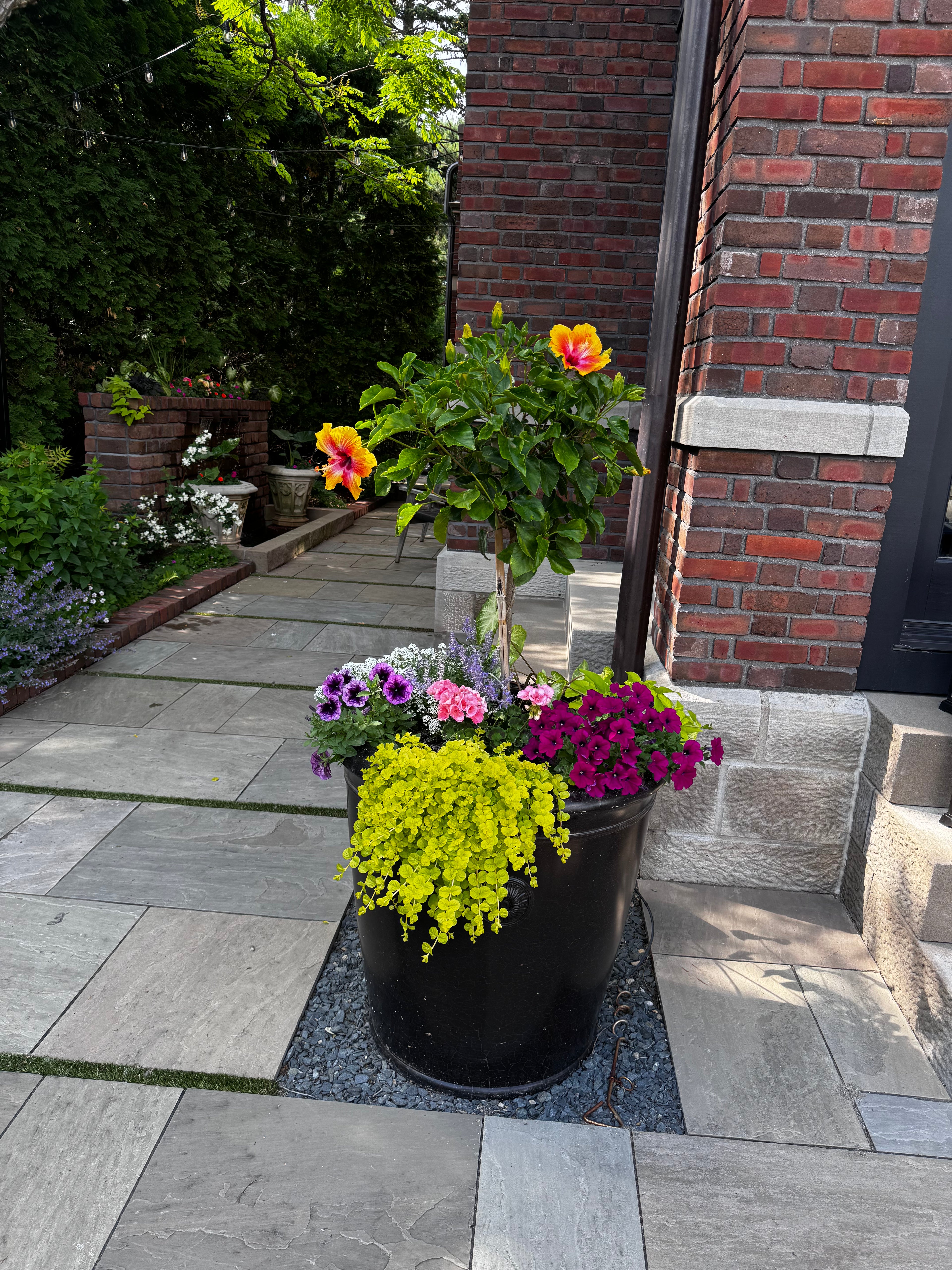 Annual Container Service - Consultation