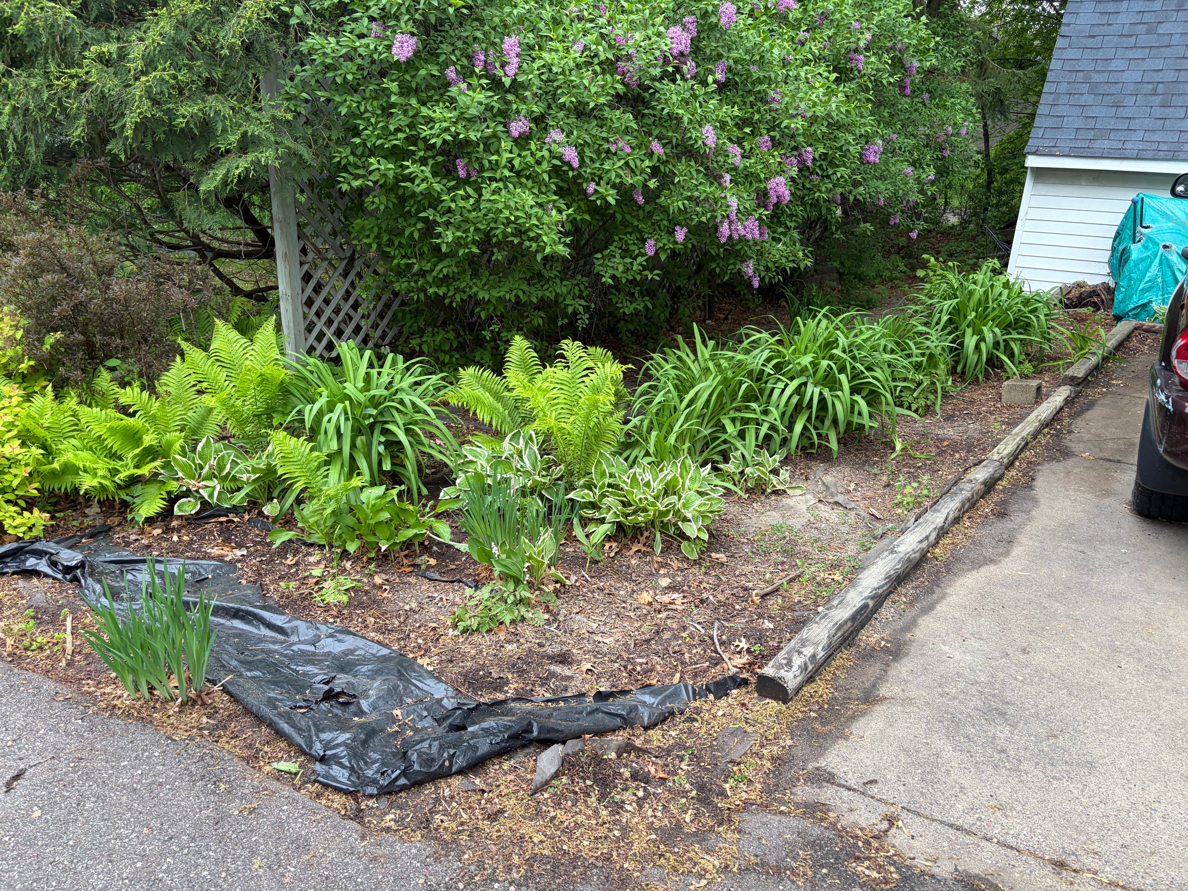 Landscaping Services - Consultation