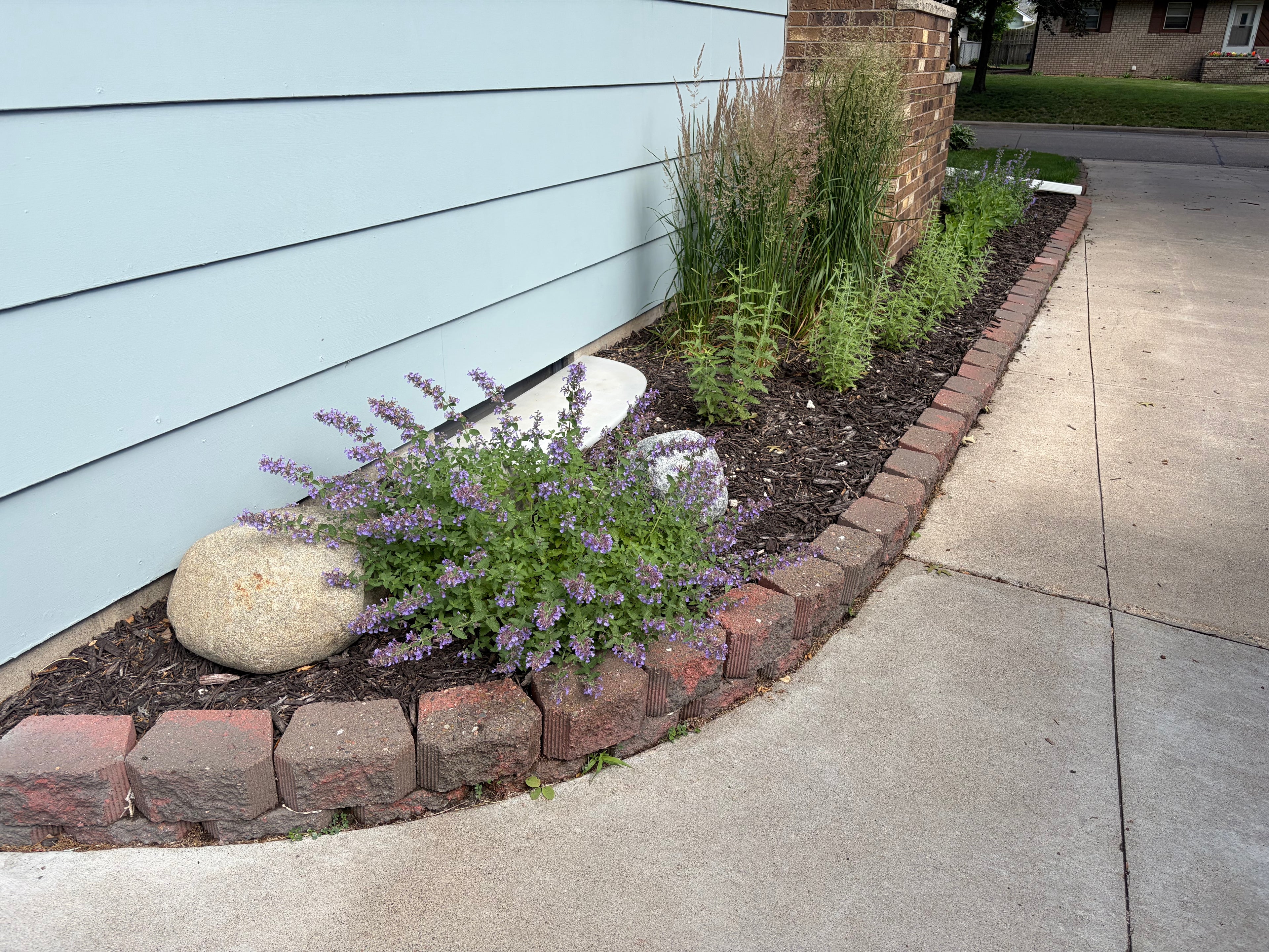Landscaping Services - Consultation