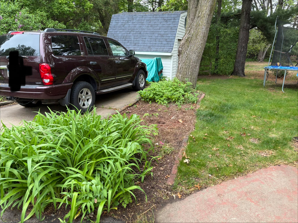 Landscaping Services - Consultation