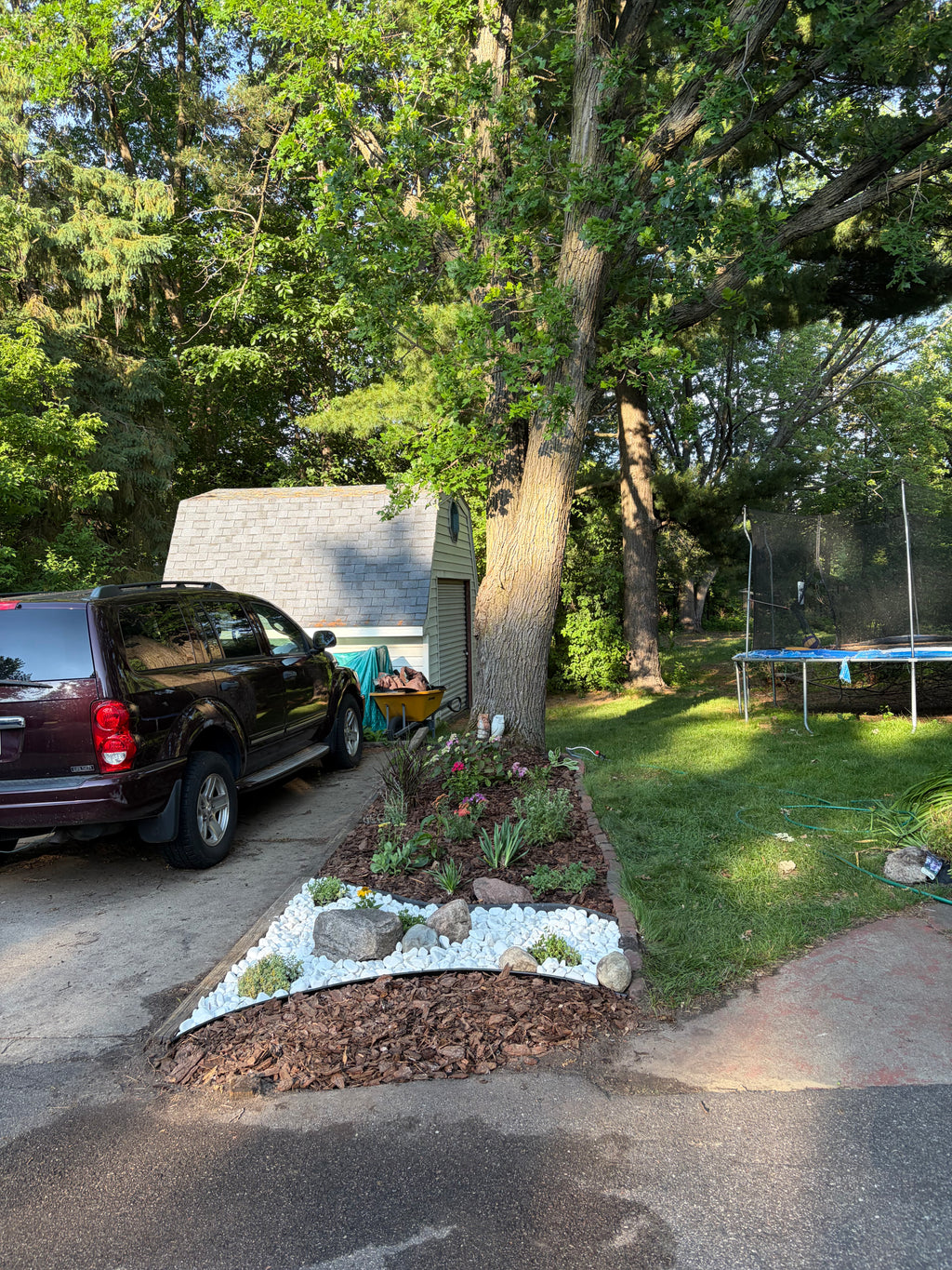Landscaping Services - Consultation