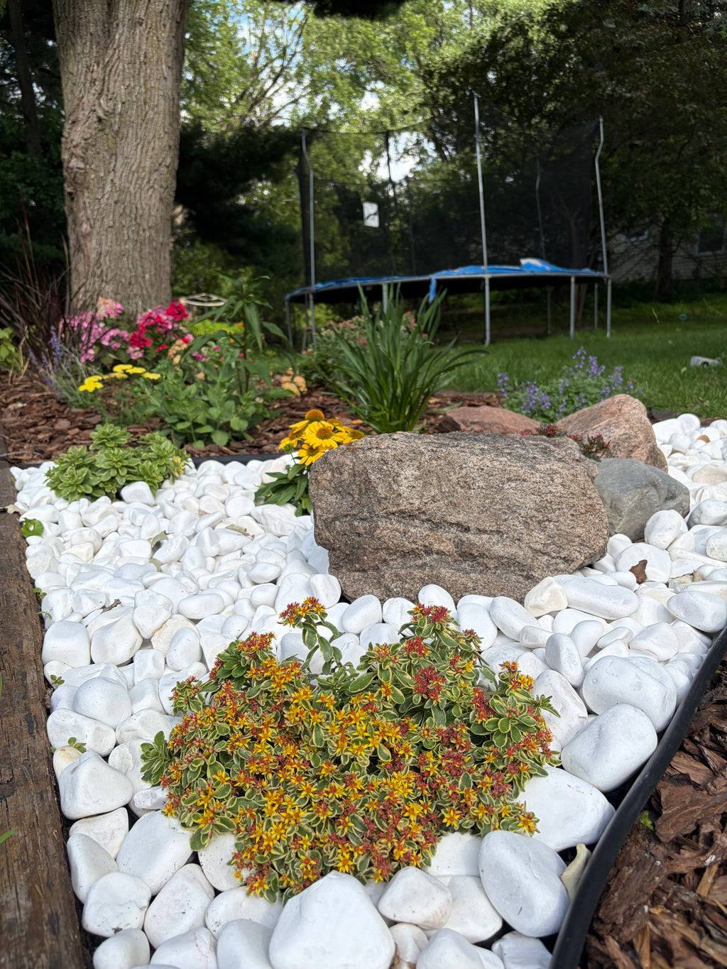 Landscaping Services - Consultation