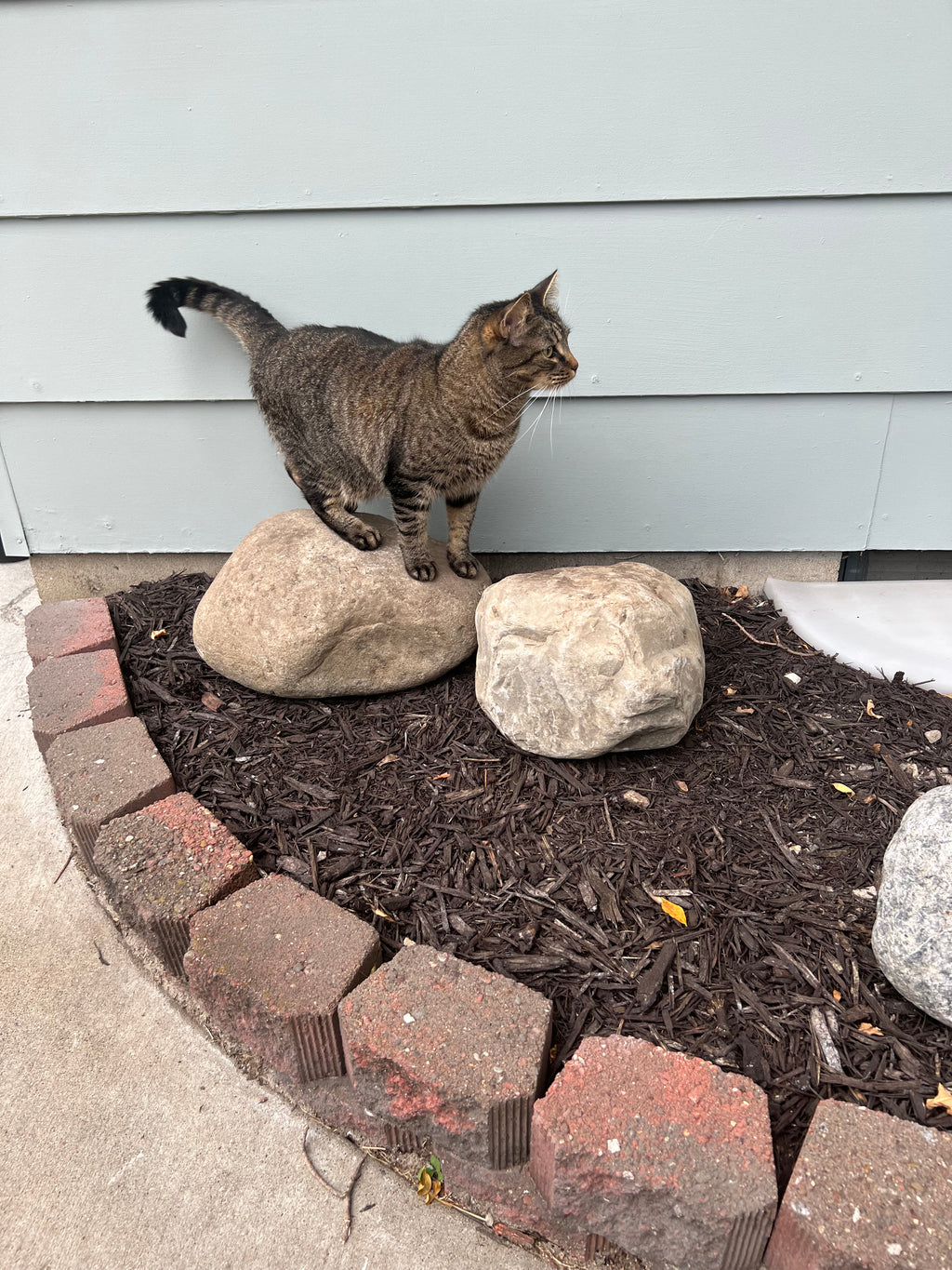 Landscaping Services - Consultation