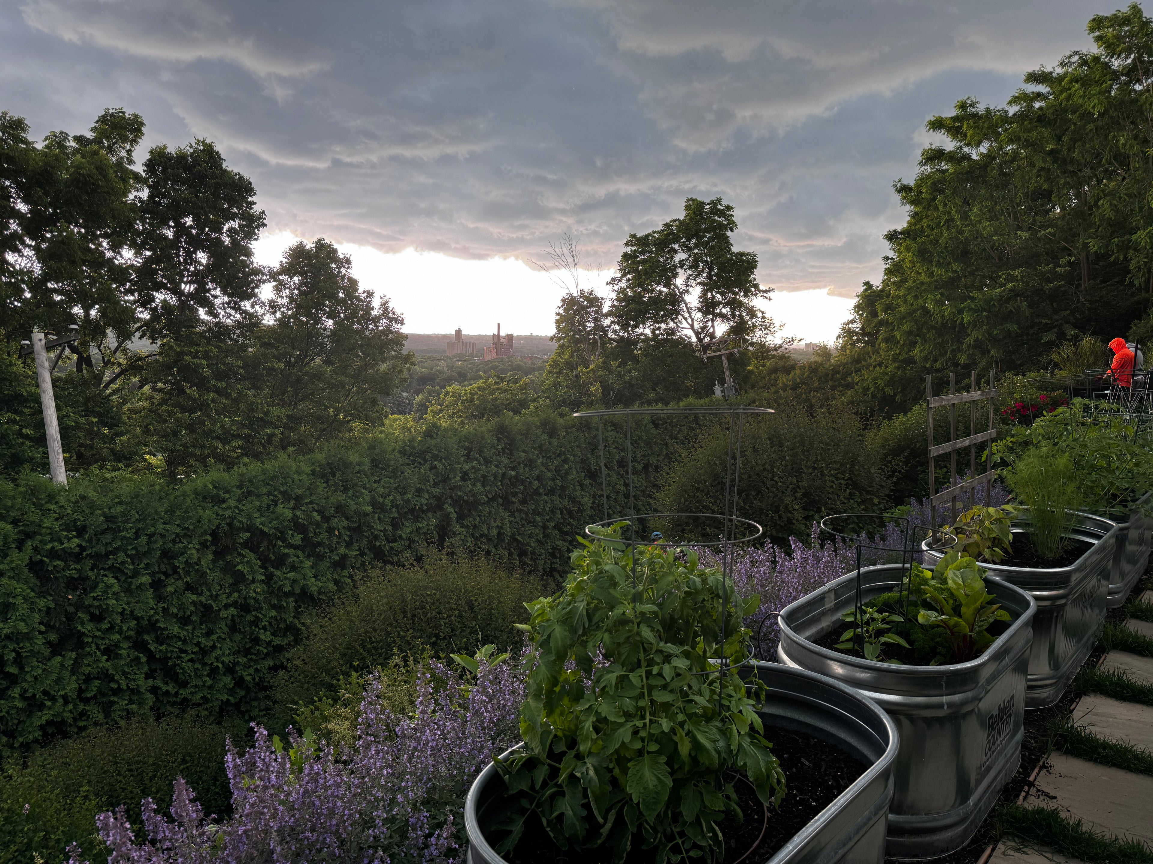 Landscaping Services - Consultation