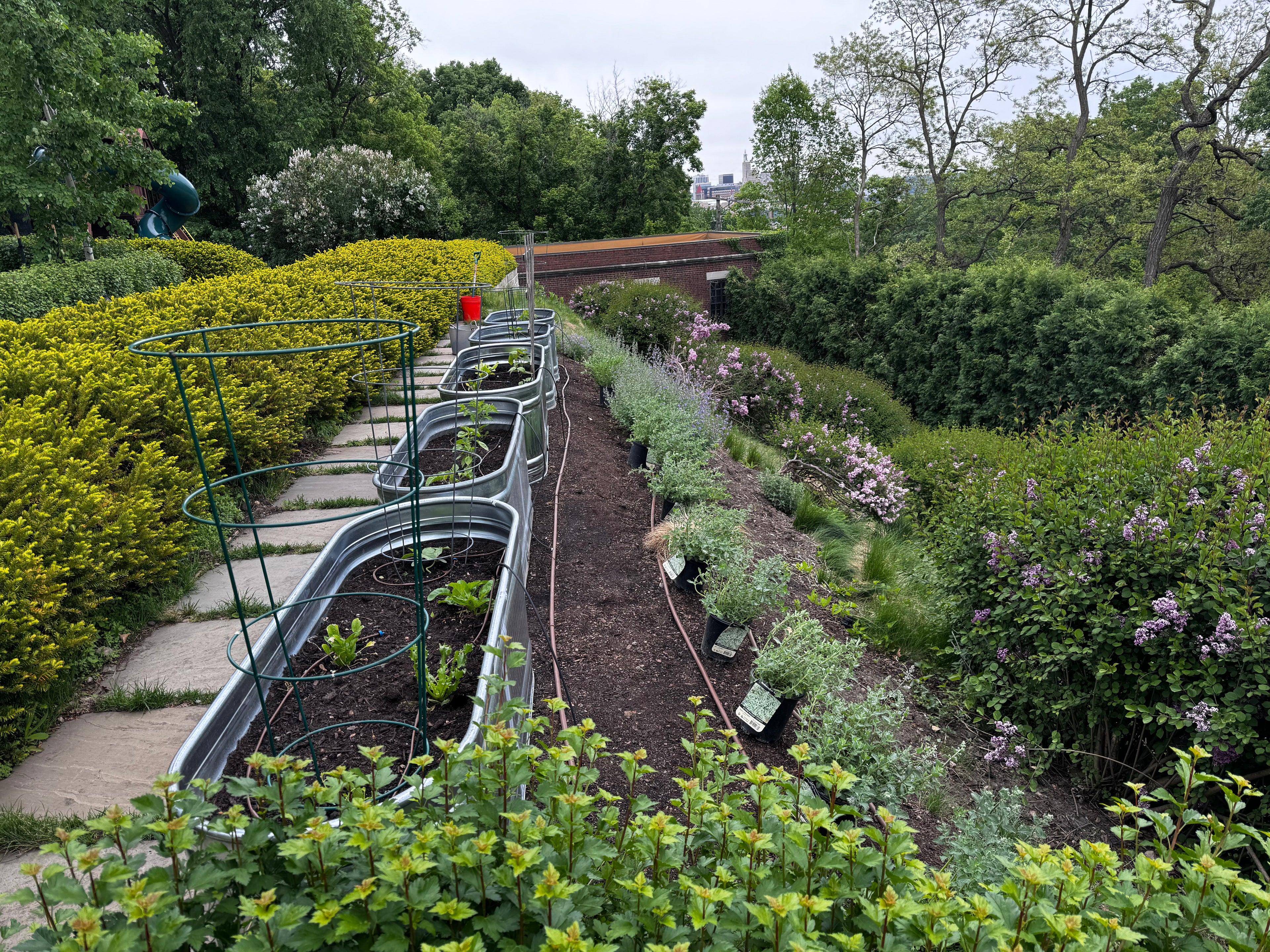 Landscaping Services - Consultation