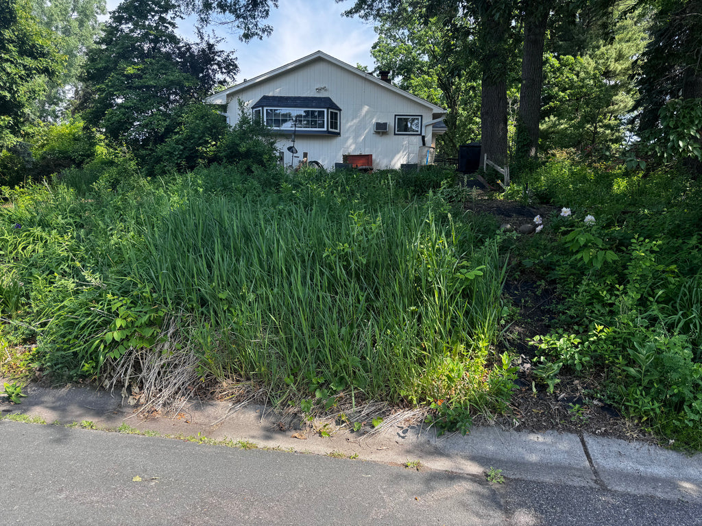 Garden Maintenance - Consultation