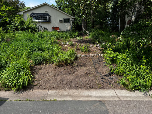 Garden Maintenance - Consultation