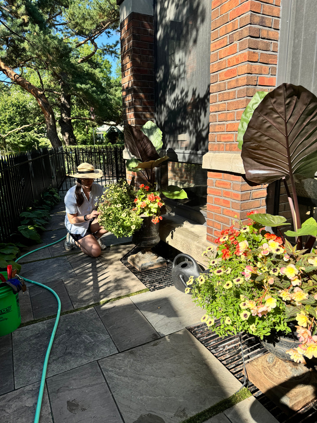 Garden Maintenance - Consultation