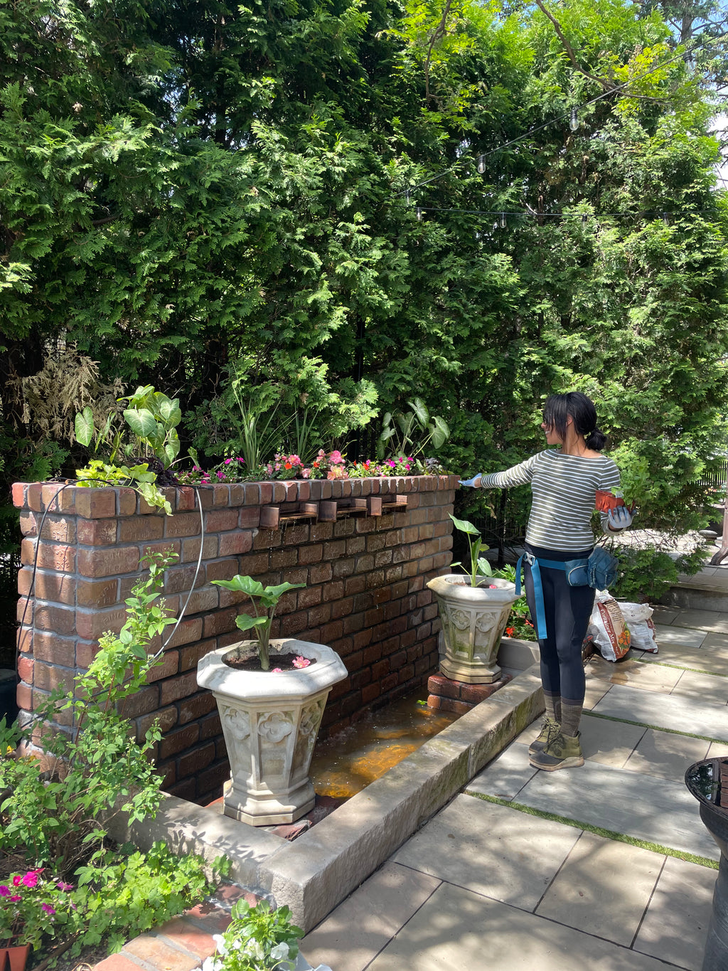 Garden Maintenance - Consultation