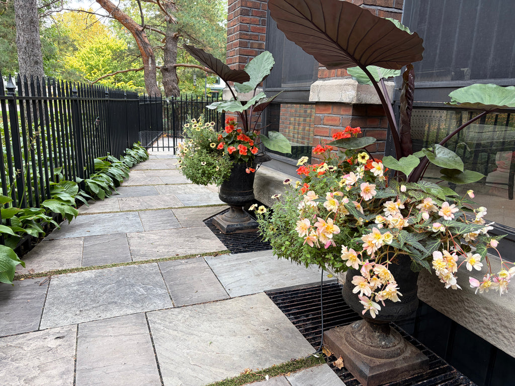 Annual Container Service - Consultation