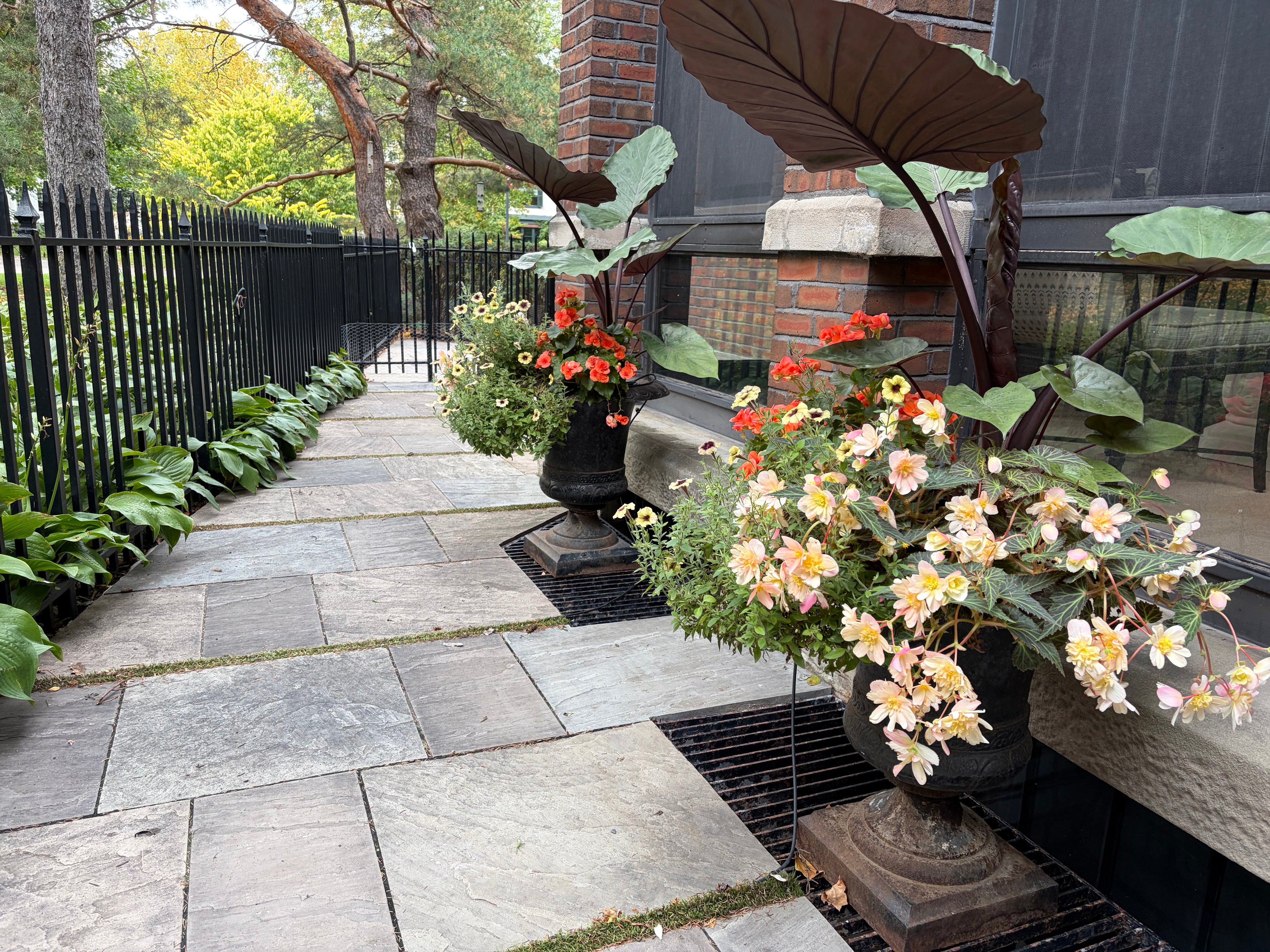 Annual Container Service - Consultation