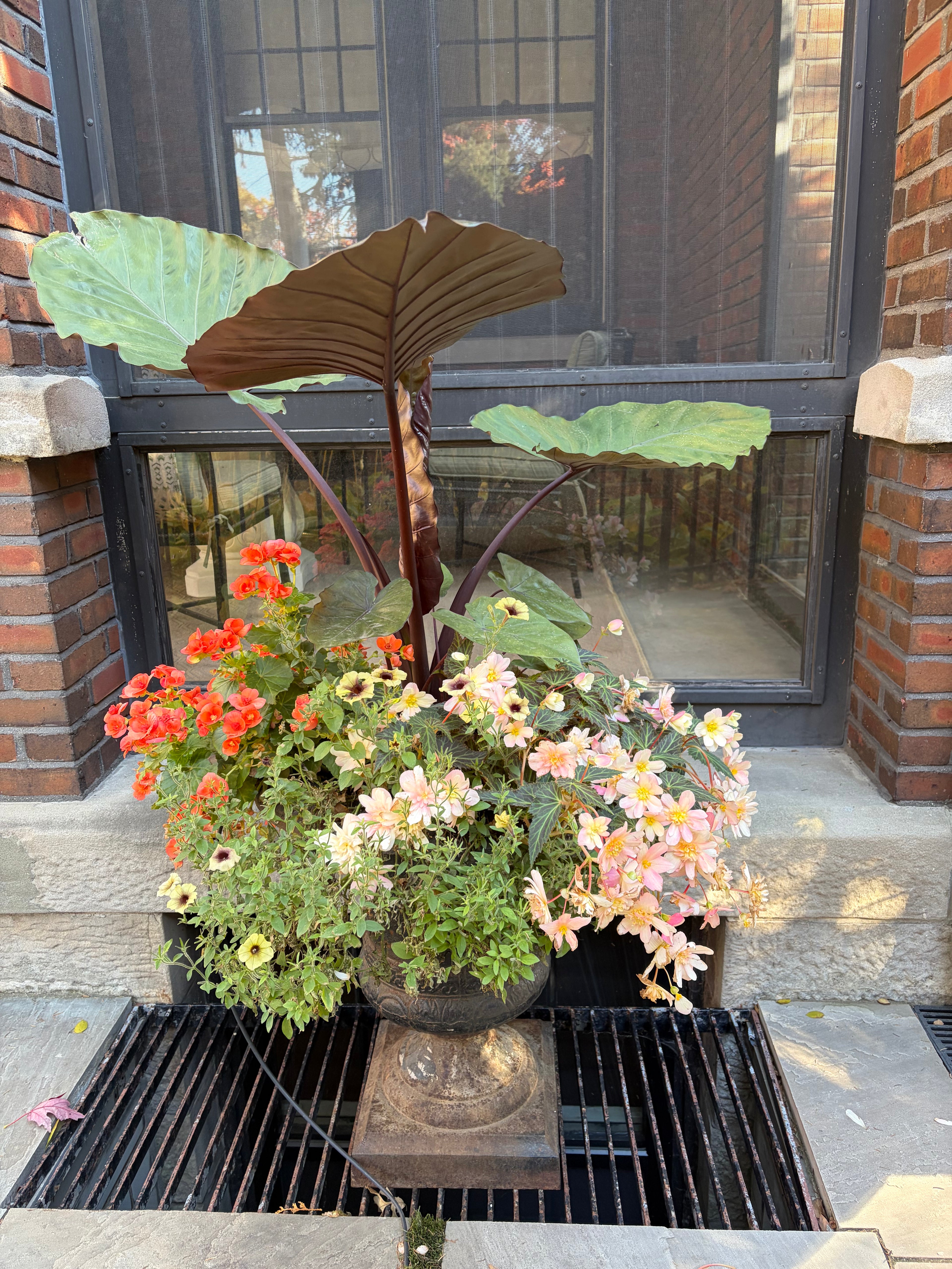 Annual Container Service - Consultation