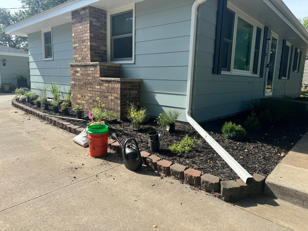 Landscaping Services - Consultation
