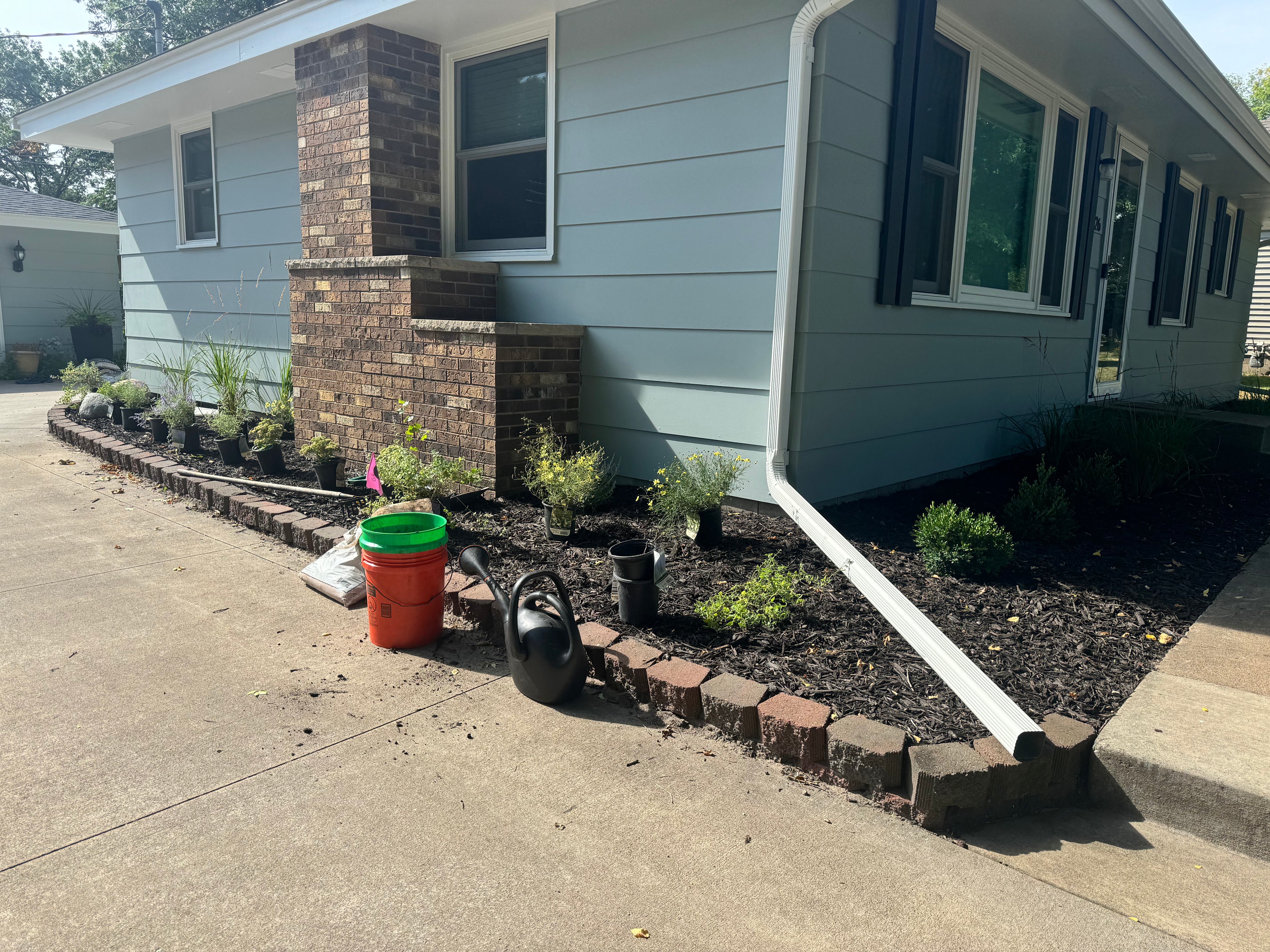 Landscaping Services - Consultation