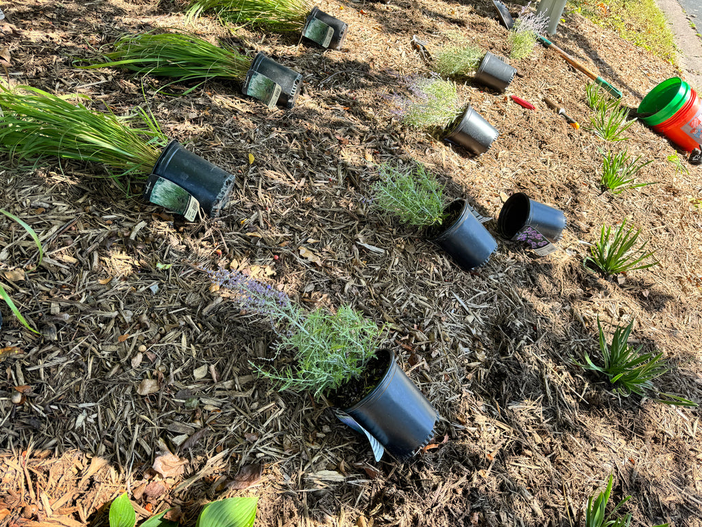 Landscaping Services - Consultation