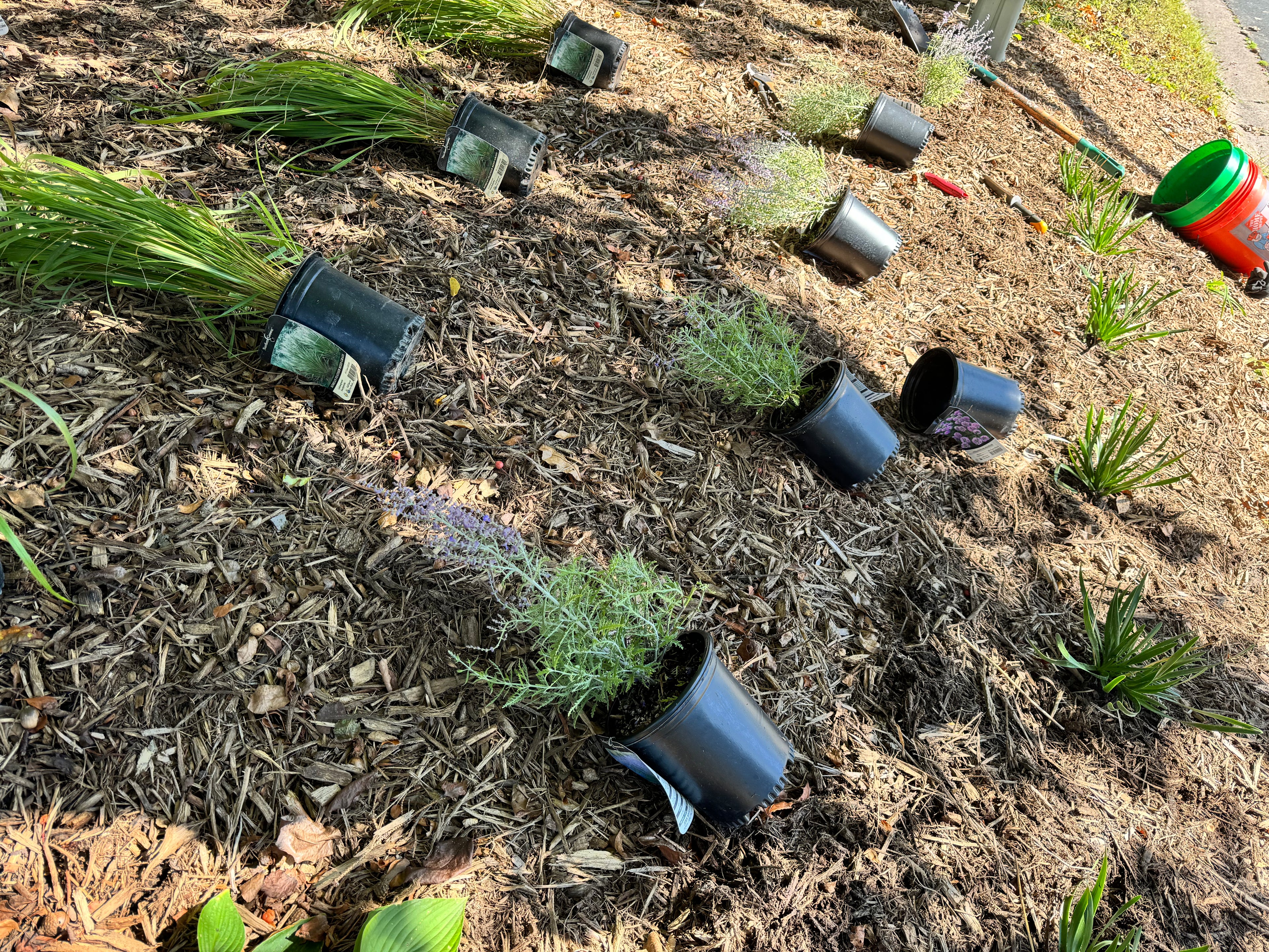 Landscaping Services - Consultation