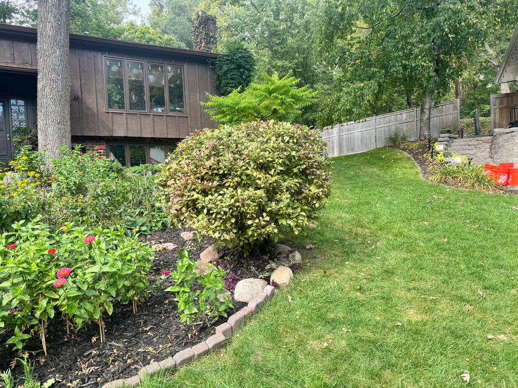 Landscaping Services - Consultation