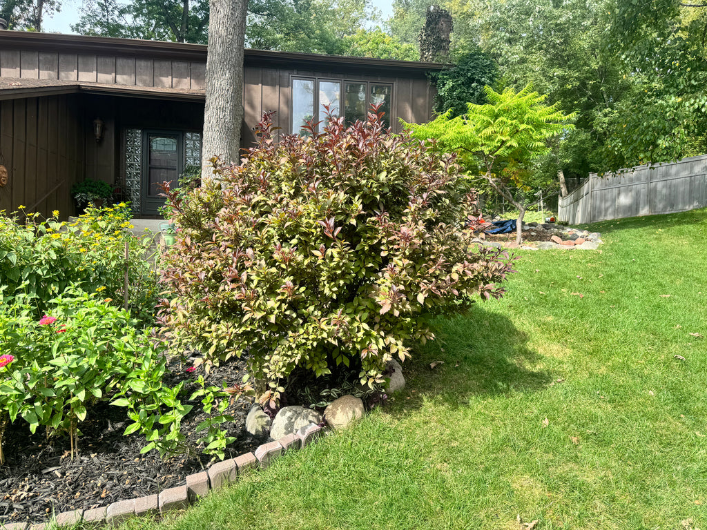 Landscaping Services - Consultation