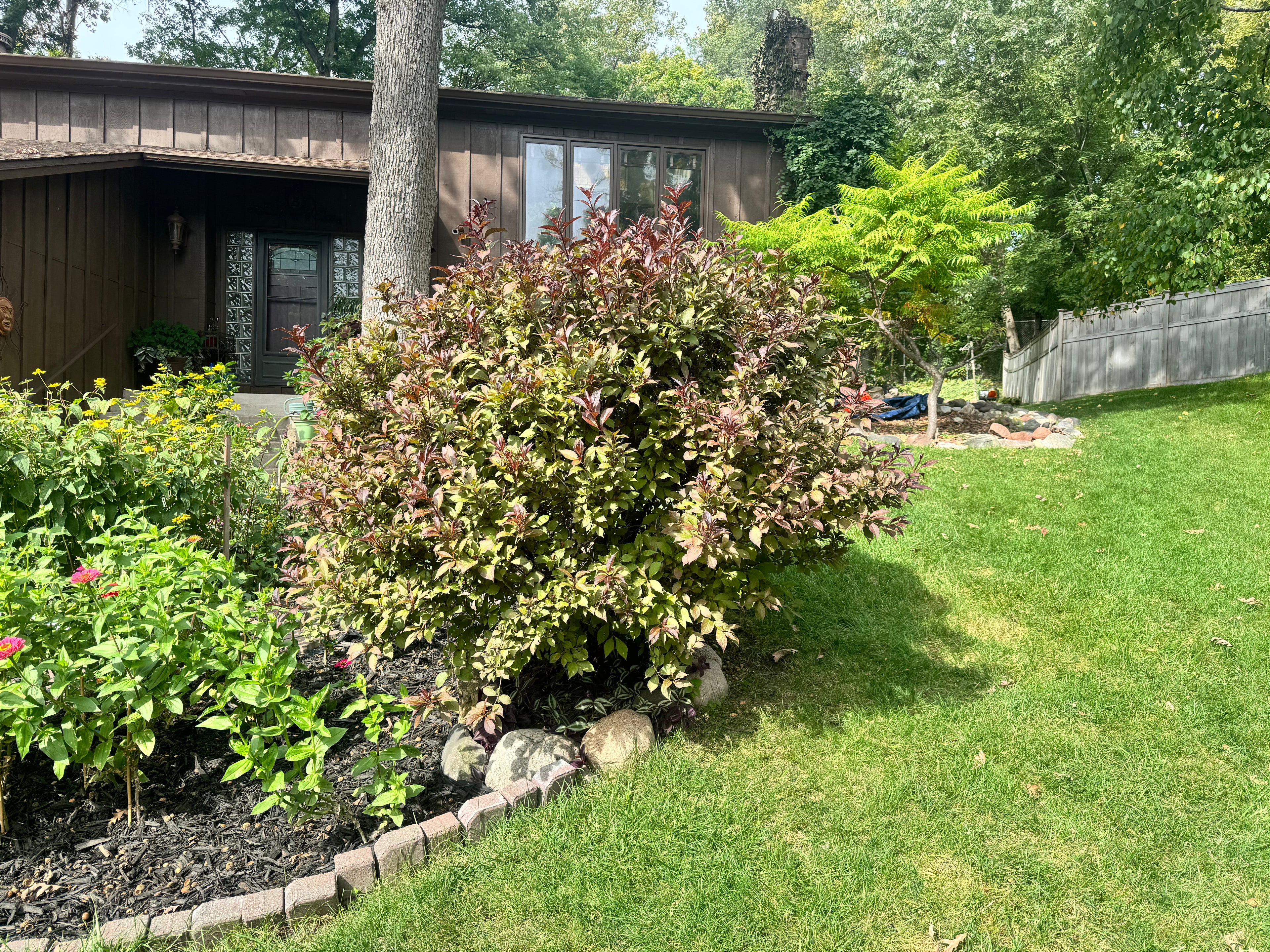 Landscaping Services - Consultation