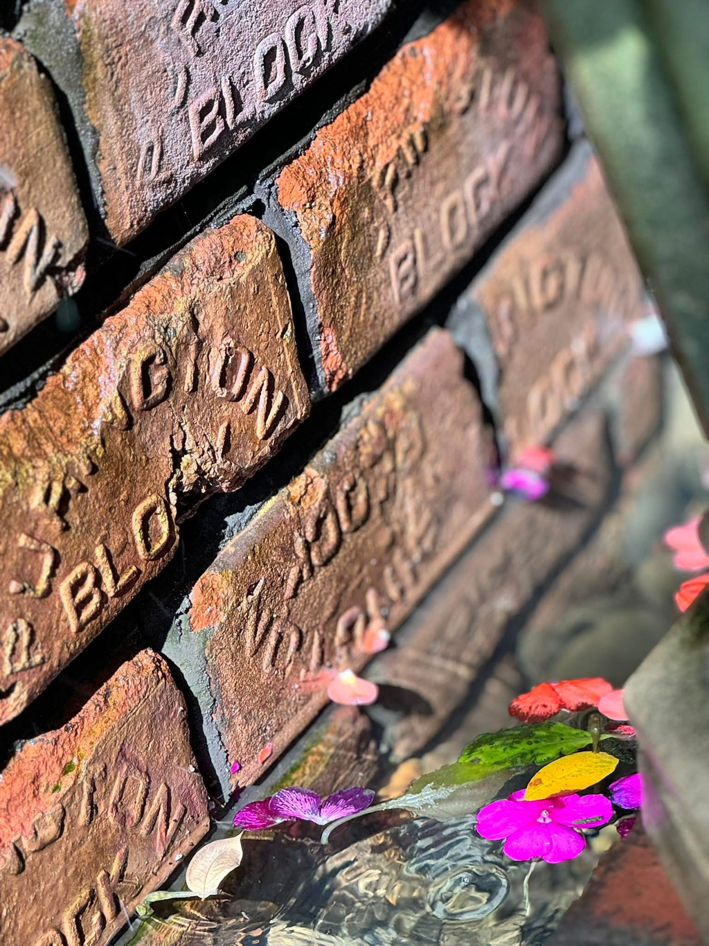 Garden Maintenance - Consultation